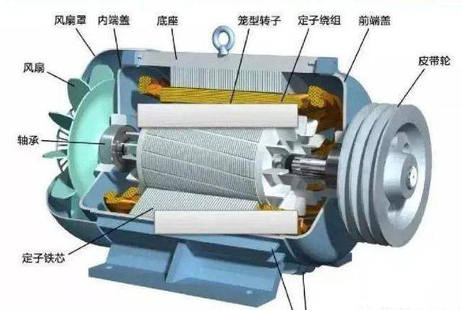 泰富西瑪關于低壓籠型三相異步電動機的結構與選型